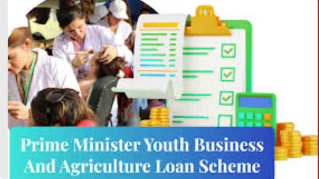 Youth Business and Agriculture Loan Scheme Explained